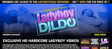 Ladyboy-Dildo