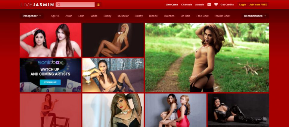 Jasmin Live Asian - Live Jasmin Transgender - Best 10 Porn Sites