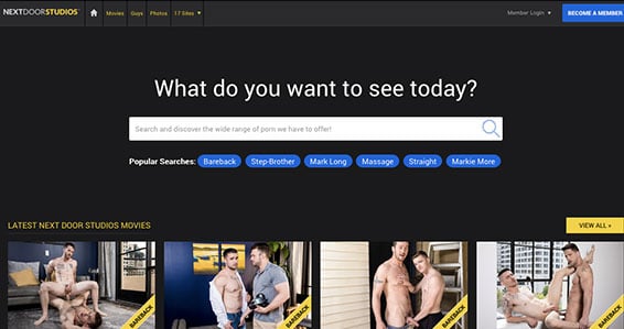 Recommended pay website if you want top notch gay HD videos